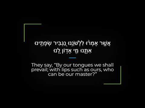 Psalm 12 Zabur/Tehillim Sephardi Hebrew Canting/Recitation with English