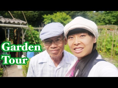 [Garden Tour] Dans le potager de mon père [Jardins familiaux] Agriculture biologique en ville Video