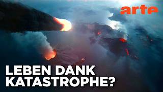 Asteroideneinschläge - Der Ursprung des Lebens? | Doku HD | ARTE