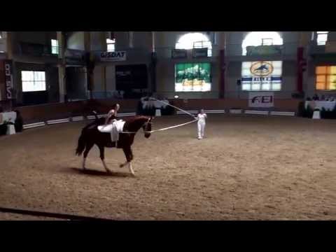 CVIO Stadl Paura 2014 - Isabel Fiala - Freestyle