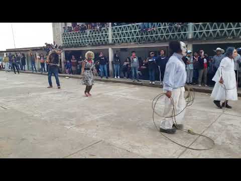 provocando a los vaqueros en el carnaval de santa Ana cuauhtemoc #carnaval2023