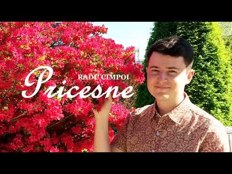 Radu Cimpoi  - Am fost și eu odată orb.