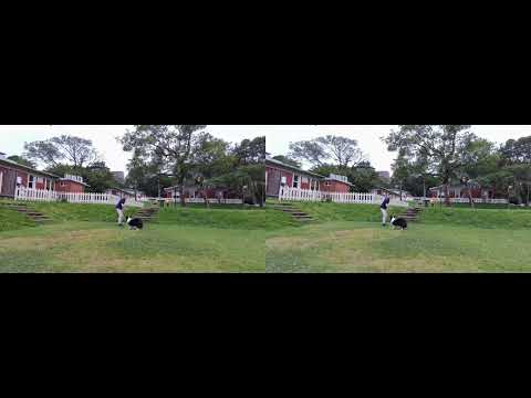 Acer SpatialLabs Eyes SBS Demo Reveal