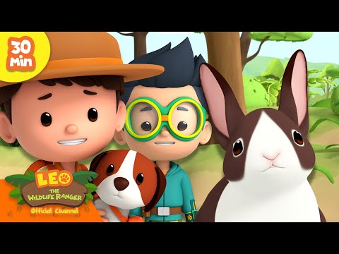 Witness21 Editor  2024 09 05