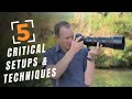 5 Critical Setups And Techniques For Wildlife Photography