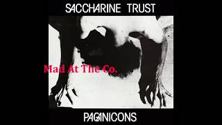 Saccharine Trust - Mad At The Company