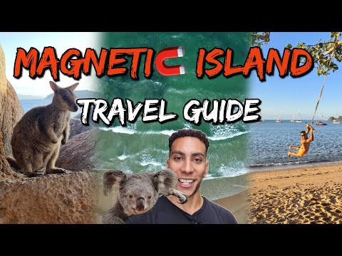 Magnetic Island 2023! - Koalas! - Wallabies! - The Ultimate Travel Guide!