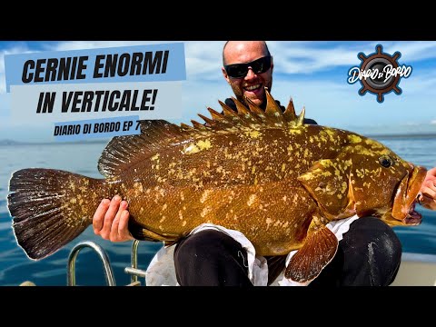 HUGE GROUPERS IN THE AIR - TUTORIALS AND CATCHES - Logbook EP. 7