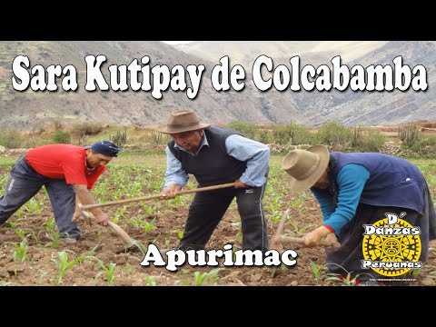Sara Kutipay de Colcabamba | Cultivo del Maíz | Danza de Apurimac