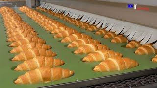 Amazing Bread Processing Factory You Have To See - Skills Fast Workers in Food Processing Line