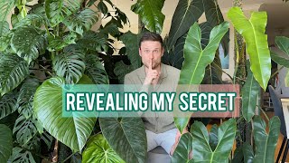 HOW TO GROW LARGE PLANTS INDOORS - revealing my secrets