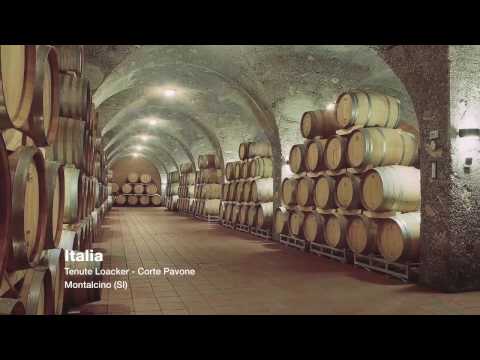 Aermec para el vino - Español