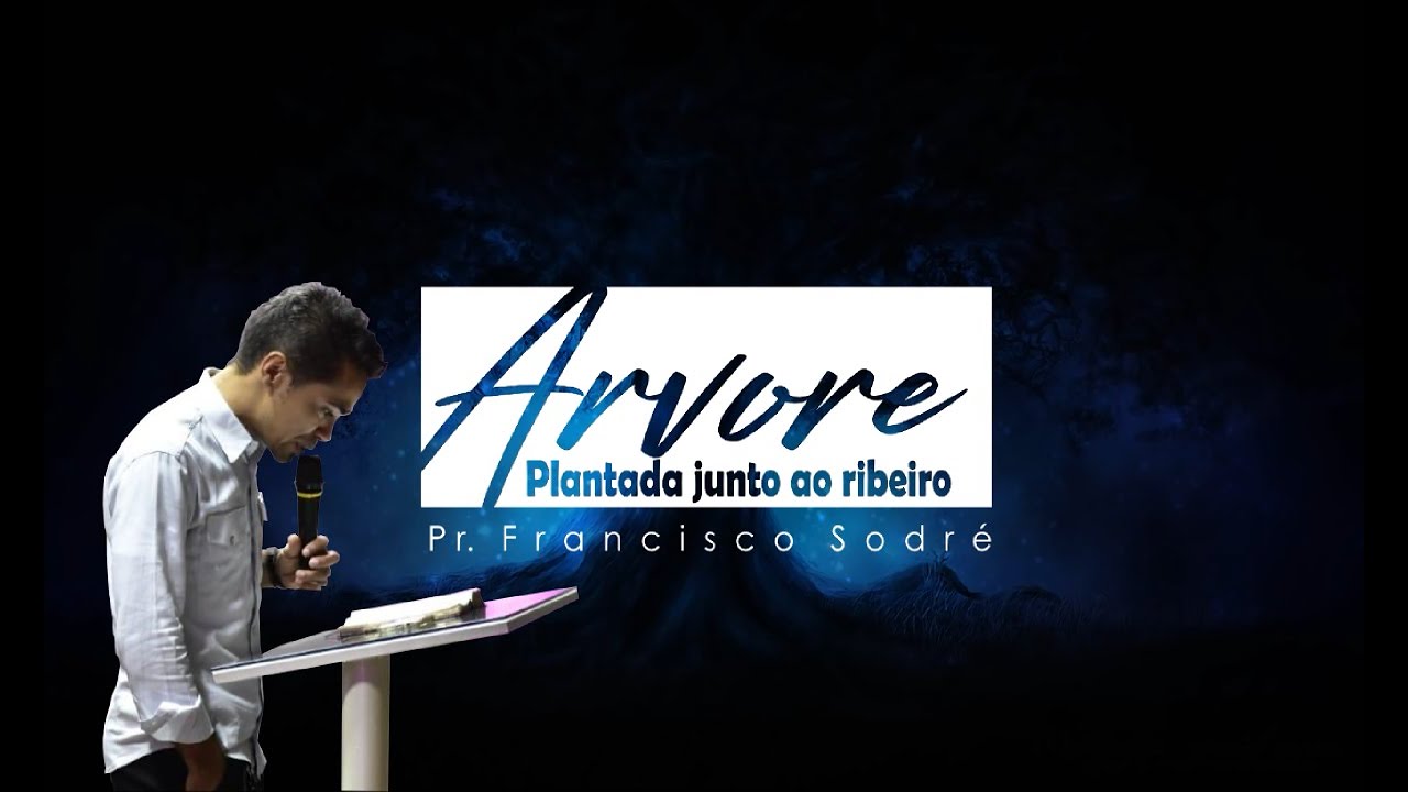 Arvore plantada junto ao ribeiro - Planta Nova - Pr. Francisco Sodré