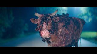 Creatures | VFX Reel | Ingenuity Studios