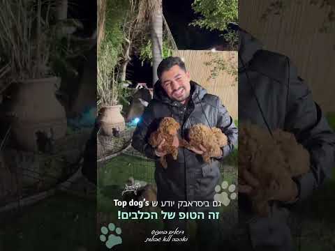 סרטון לקוחות