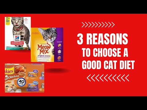 3 Reasons to choose a good cat diet#cat#kitten#catmeowing