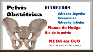 Pelvis Obstétrica. Diámetros. Planos de Hodge. Eje de la pelvis