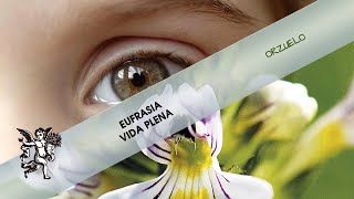 Cuida la salud de tus OJOS con EUFRASIA VIDA PLENA