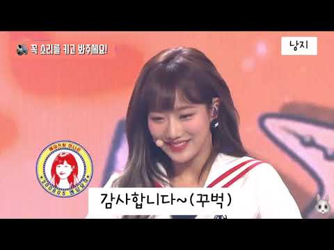 아이콘