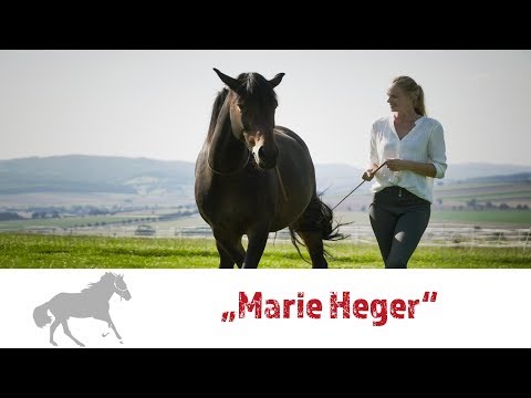 Vorstellungsvideo Marie Heger