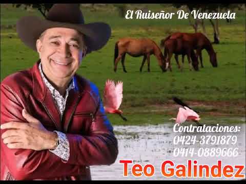 El Carnaval del amor, Teo Galindez.