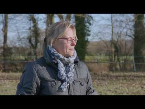 Hilfe! Ich ziehe mit meinem Pferd um...