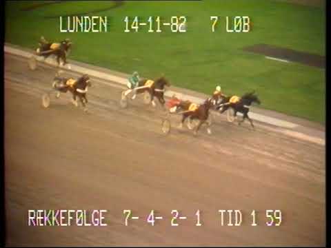 Dansk Opdrætningsløb 1982: Gunga-Søren Norberg