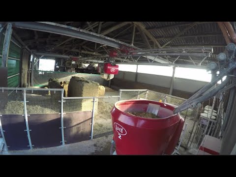 Lely Vector - Automatisch füttern