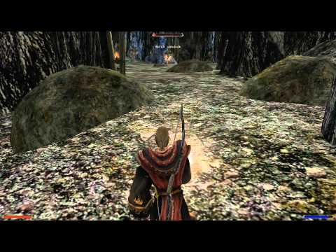 Gothic2addon-OLOG-part 227: The halls of Irdorath - the cave