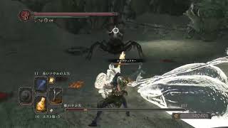 #9 PC版 ダークソウル2　金獅子の装備がほしい3周目