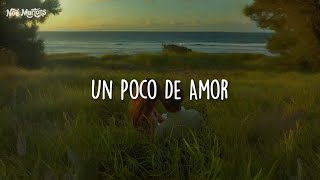 Un Poco De Amor • Shakira [Letra]