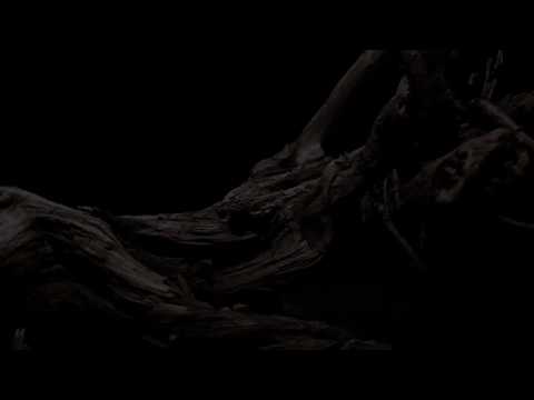 FTR - JUNE