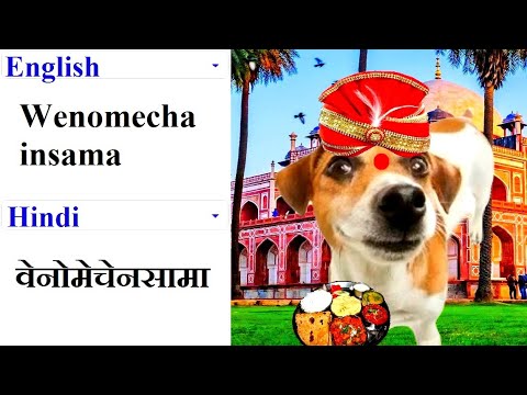 Wenomechainsama in different languages meme