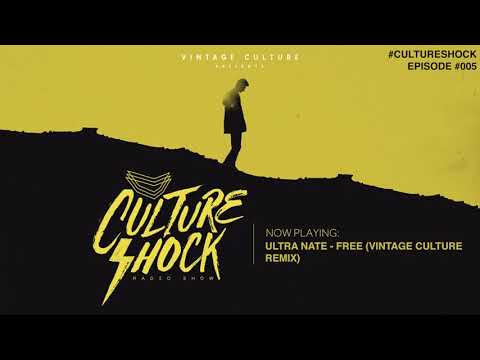 Vintage Culture - Culture Shock #005