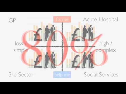 Vanguard Consulting: Health and Care System Dynamics - Part 1