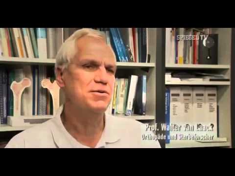 ✪✪ Wie sieht es im Jenseits aus? [Doku deutsch] ✪✪