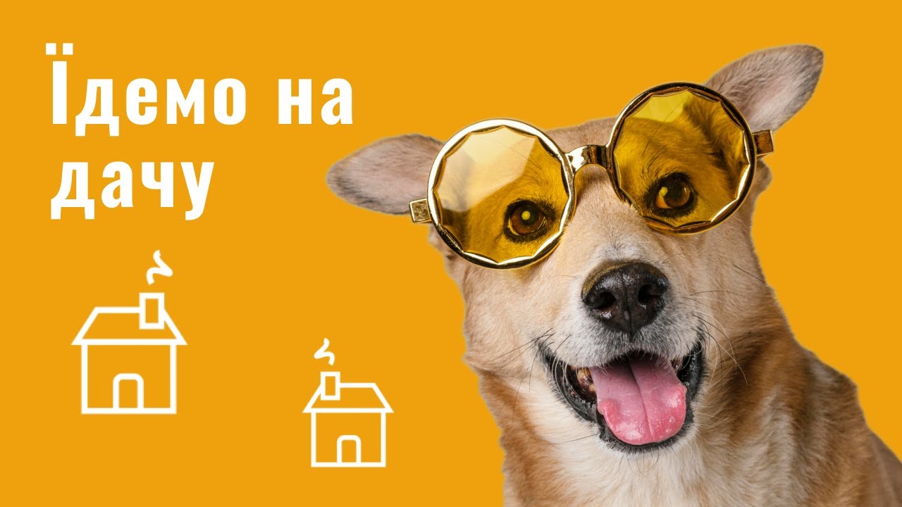 YouTube video preview