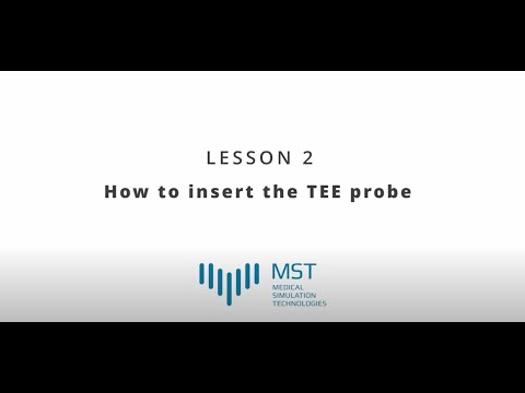 MST Masterclass - Lesson 02 - How to insert the TEE probe