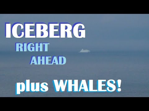 Maritime of My Life (Pt. 81) - Whales and Iceberg, Right Ahead!