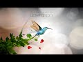 Liberation by Marcus Warner