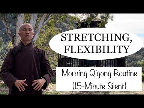 15-Minute Qigong Daily Routine for STRETCHING and FLEXIBILITY | ( Silent )
