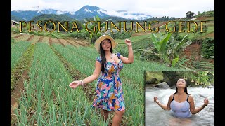 Download lagu KESEHARIAN GADIS DESA MASAK DI PEGUNUNGAN DENGAN HAMPARAN PERKEBUNAN INDAH mp3 Download lagu KESEHARIAN GADIS DESA MASAK DI PEGUNUNGAN DENGAN HAMPARAN PERKEBUNAN INDAH mp3