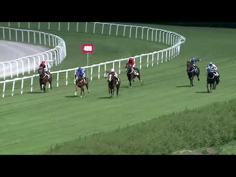 2019.06.01. 04. futam - VILLÁM DÍJ (I.kat.)