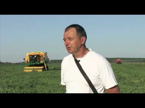 Može bolje ep. 19 17.06.2017. - Proizvodnja graška