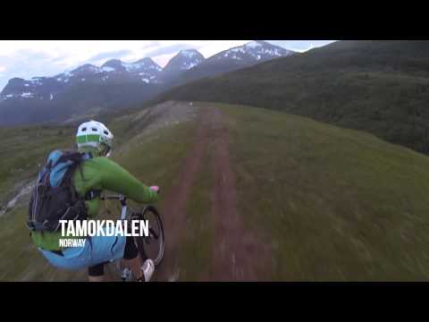 Polku Joka - Pole Bicycles