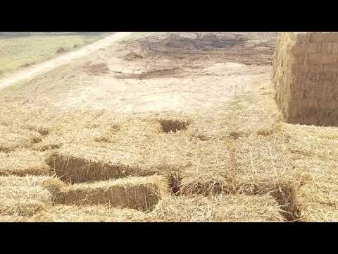 A2P Paddy Straw Bales Collection