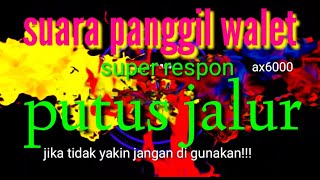 Download lagu Suara panggil walet pemutus jalur || sedot walet melintas mp3