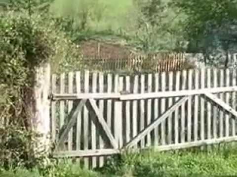 Biserica de lemn Rosia Noua