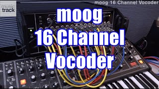 Video thumbnail for moog 16 Channel Vocoder Demo & Review by musictrackjp