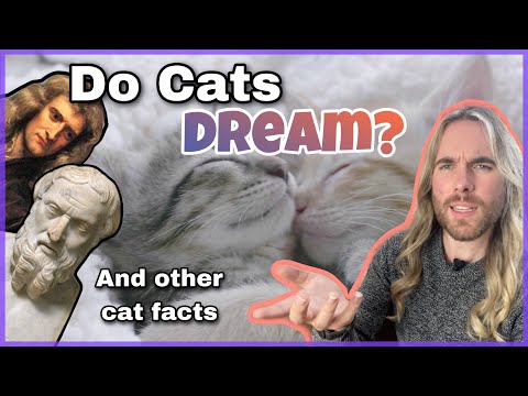 Do Cats Have Elbows